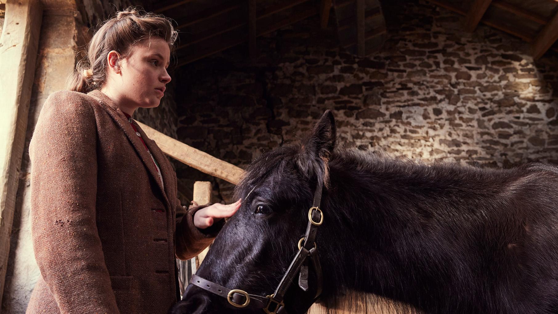 Jenny stands by a foal in a stable