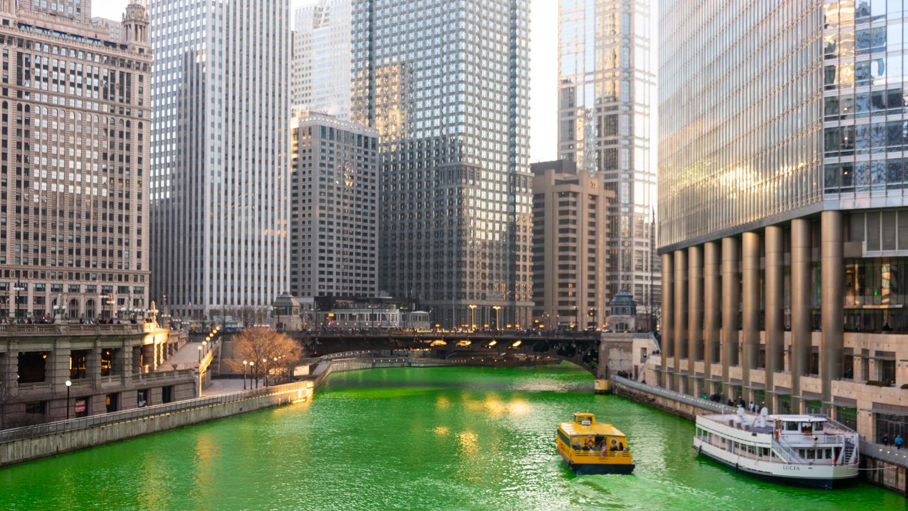The Chicago River, dyed green for St. Patrick's Day, is pictured among a canyon of skyscrapers