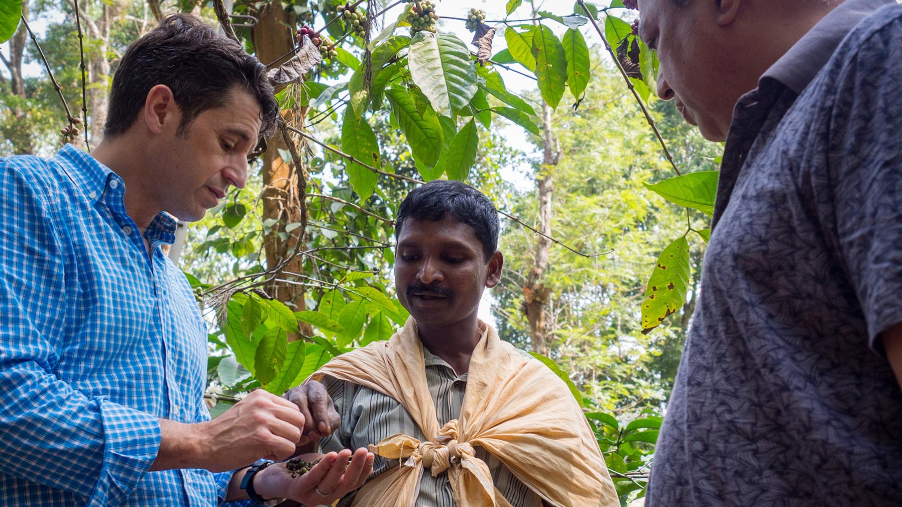 Three men stand in a forest looking at pepper in one of their hands