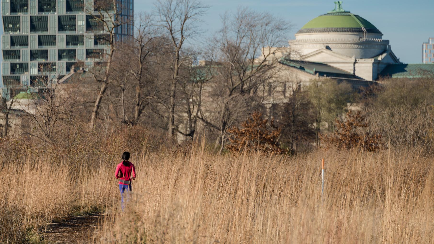 A runner jogging through prairie grass in Jackson Park, with the Museum of Science and Industry in the background
