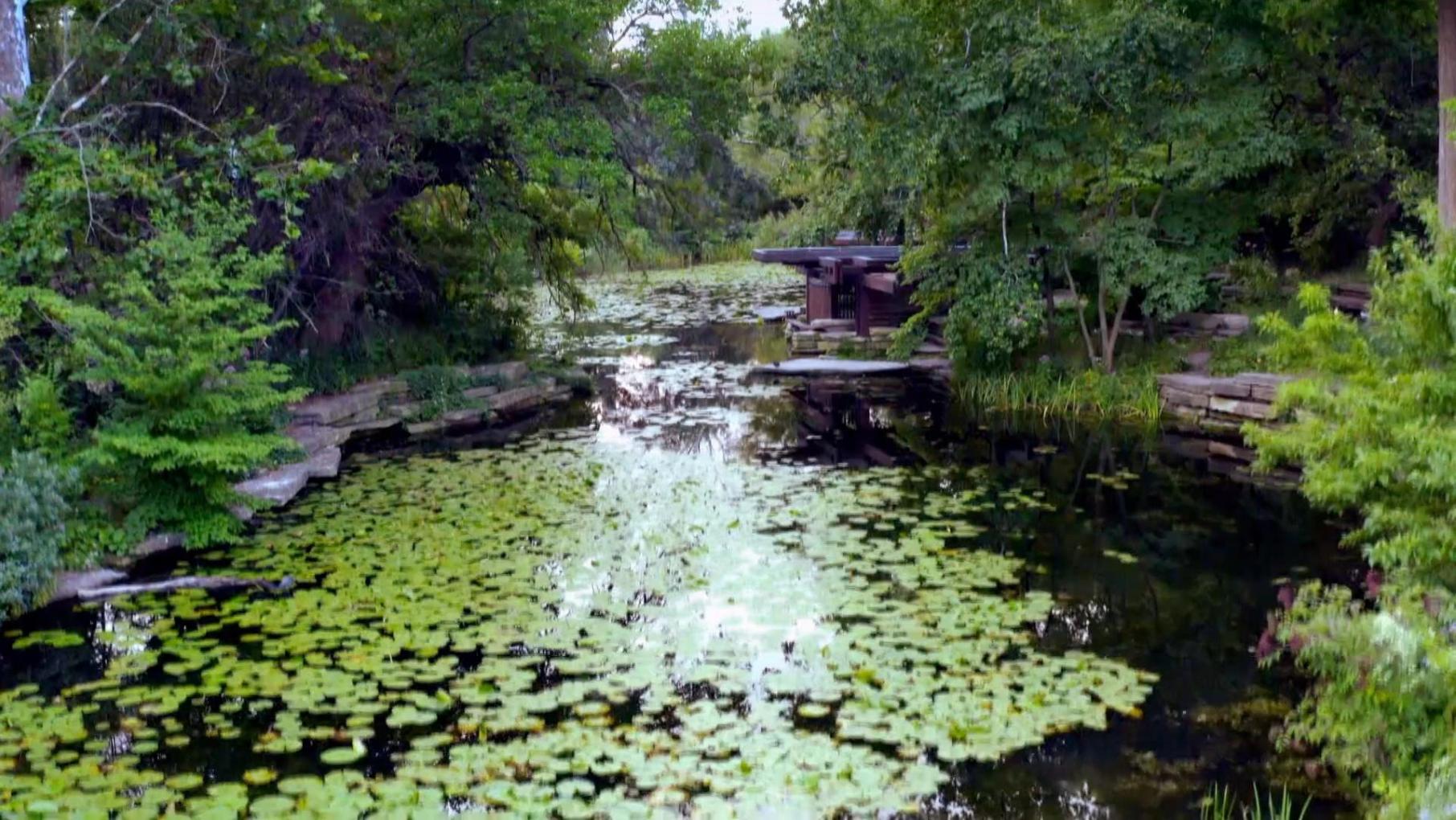 Alfred Caldwell Lily Pool: asset-mezzanine-16x9