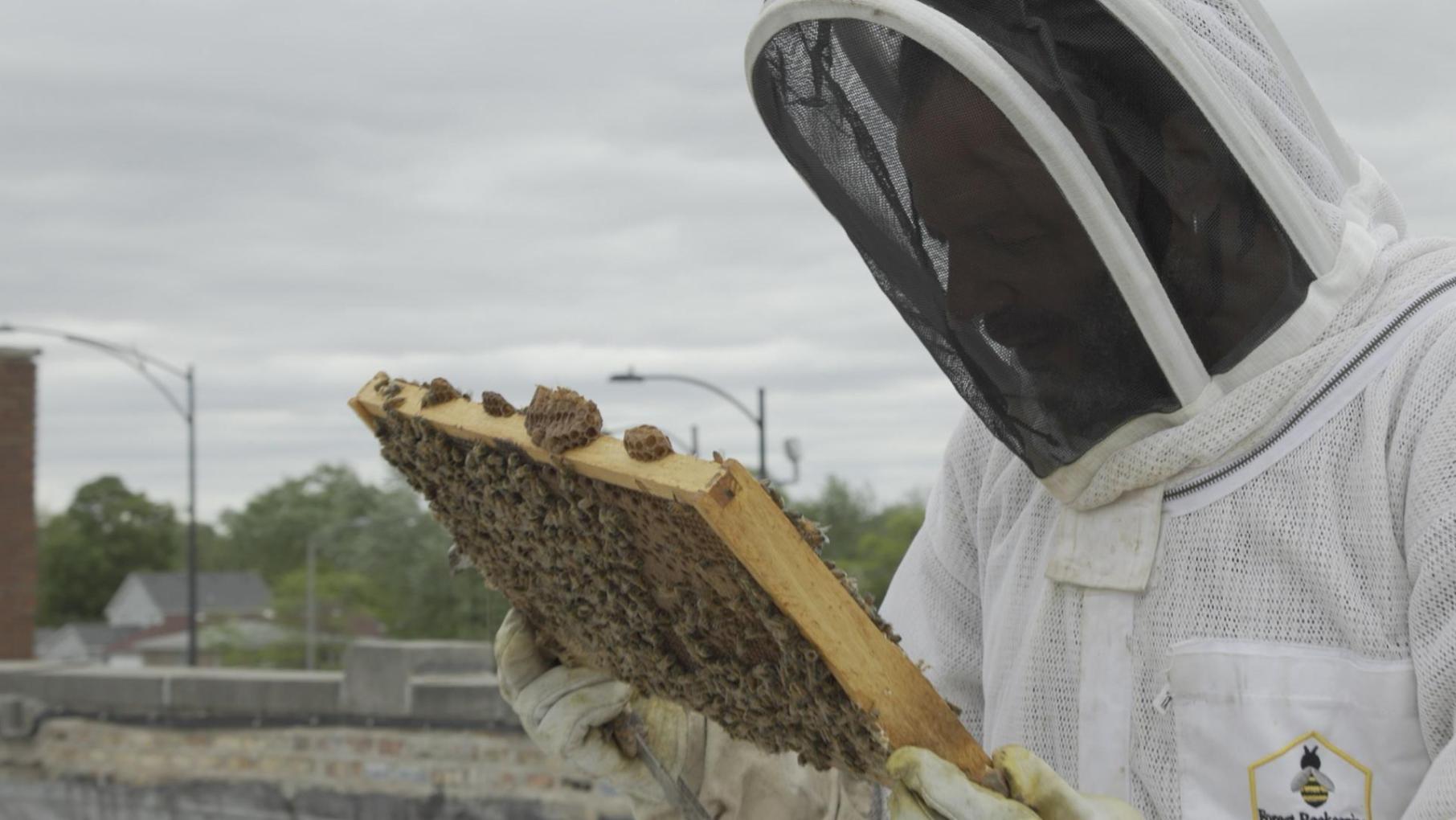Meet a Rooftop Beekeeper on Chicago’s West Side: asset-mezzanine-16x9