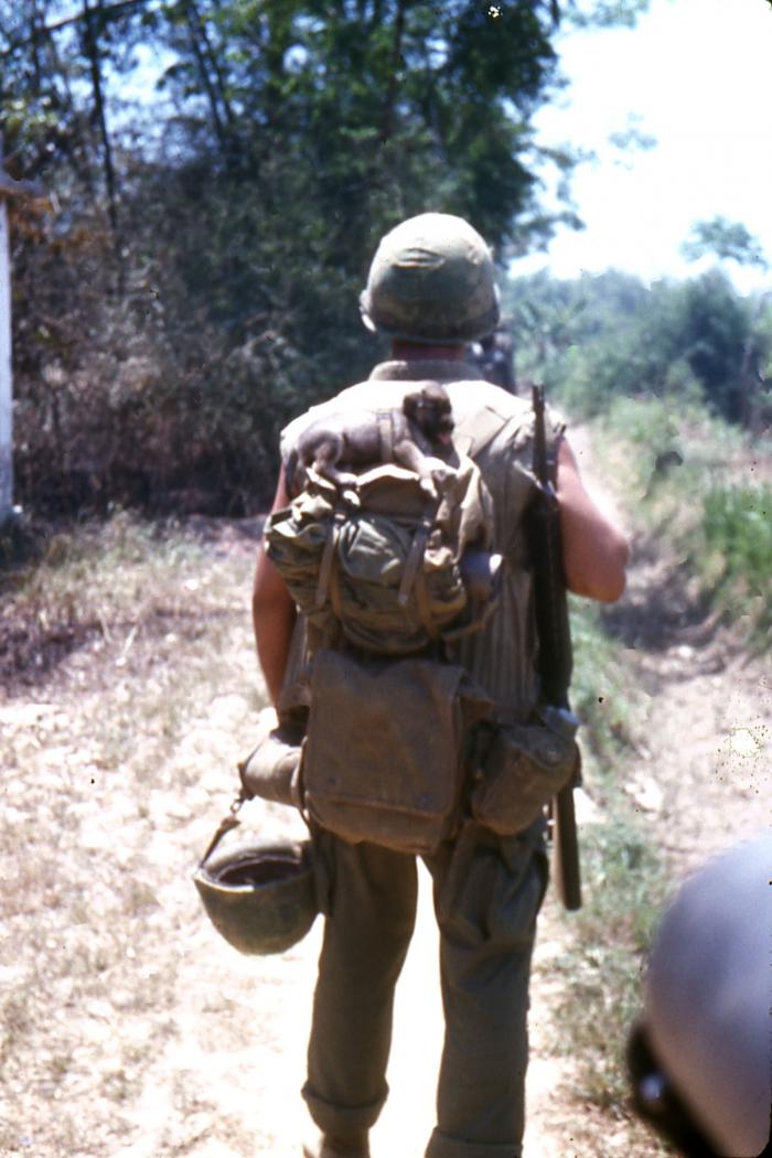 A marine in Vietnam with a dog.