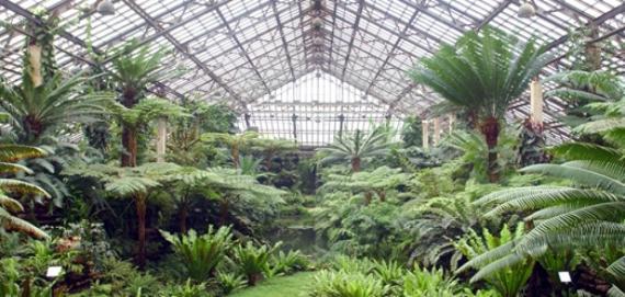 Chicago's Garfield Park Conservatory