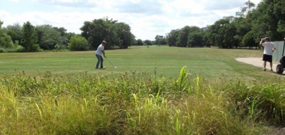 The golf course in Chicago's Marquette Park