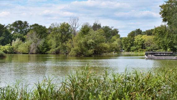 Chicago's McKinley Park