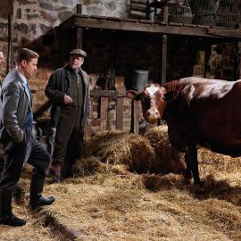 Siegfried and James stand in a barn with a farmer looking at a cow