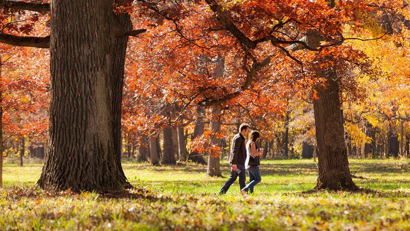 Morton Arboretum