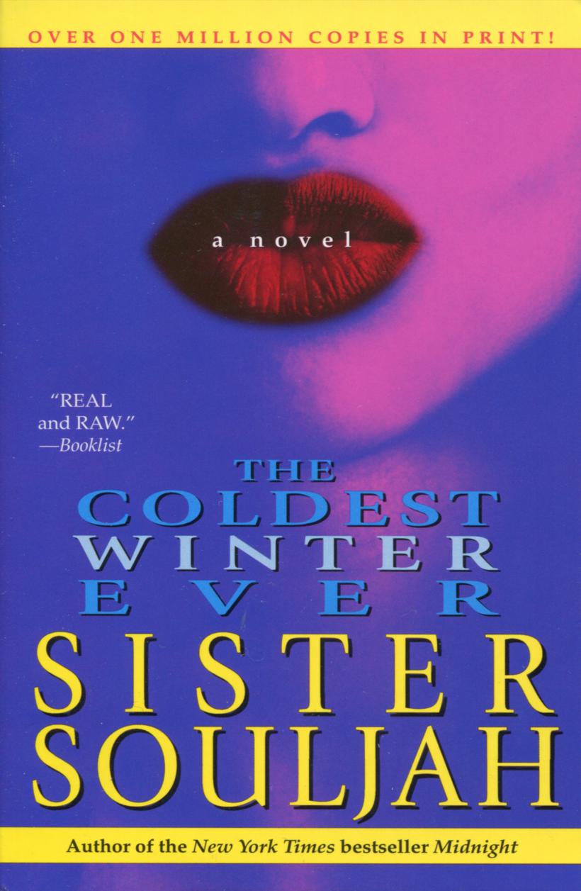 The Coldest Winter Ever cover